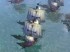 Age of Empires III