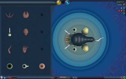 Spore