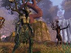 Warhammer Online