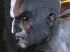 Sony explica las mejoras de la versi&oacute;n final de God of War III sobre la demo