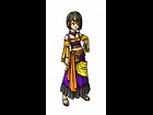 Dragon Quest IX