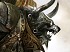Noticia de Guild Wars 2