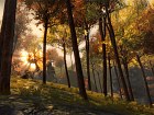 Guild Wars 2
