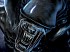 Aliens: Marines Coloniales y Cazafantasmas se van a verano de 2009