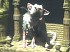 V�deos de The Last Guardian