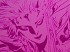 Foro Final Fantasy II