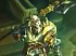V�deos de Diablo III