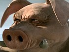 Beyond Good & Evil 2