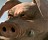 Beyond Good & Evil 2