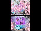 Dragon Quest V