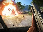 Im�gen Far Cry 3