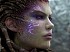 Introducci&oacute;n Cinem&aacute;tica (StarCraft 2: Heart of the Swarm)