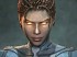 Ways to Play (StarCraft 2: Heart of the Swarm)