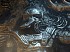 The Elder Scrolls V: Skyrim
