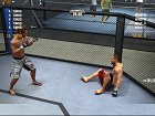 UFC 2010 Undisputed