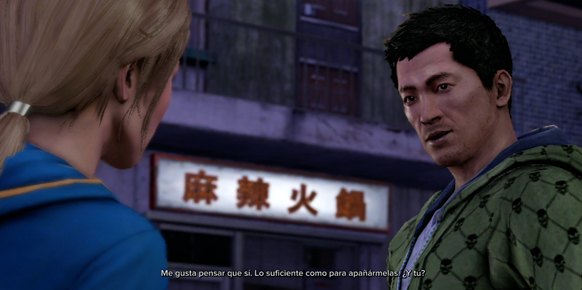 Sleeping Dogs