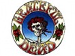 La banda The Grateful Dead tendr&aacute; tambi&eacute;n su propio videojuego