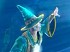 Vídeos de Trine 2: Director's Cut