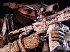 Los SEAL que ejercieron de consejeros para Medal of Honor: Warfighter revelaron secretos clasificados a Electronic Arts