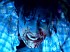 Resident Evil Chronicles HD