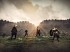 Games of Thrones MMO - Seven Kingdoms