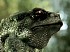 Crysis 3
