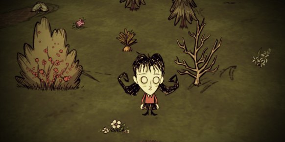 Don't Starve
