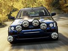 Forza Horizon - Rally Expansion