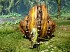 Im�genes de Monster Hunter Online