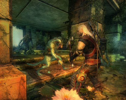 The Witcher PC