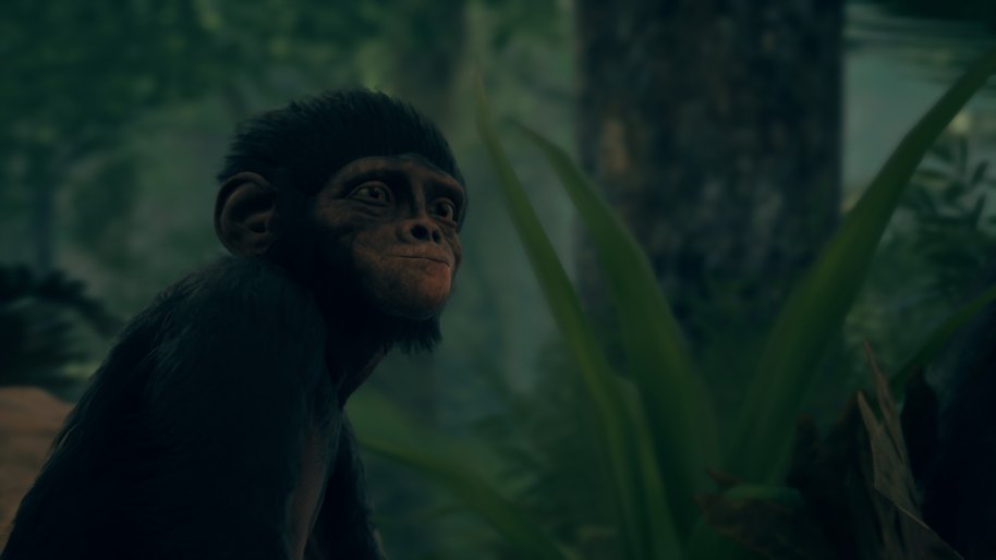 Ancestors The Humankind Odyssey