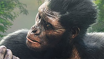 Guía práctica para sobrevivir en Ancestors: The Humankind Odyssey