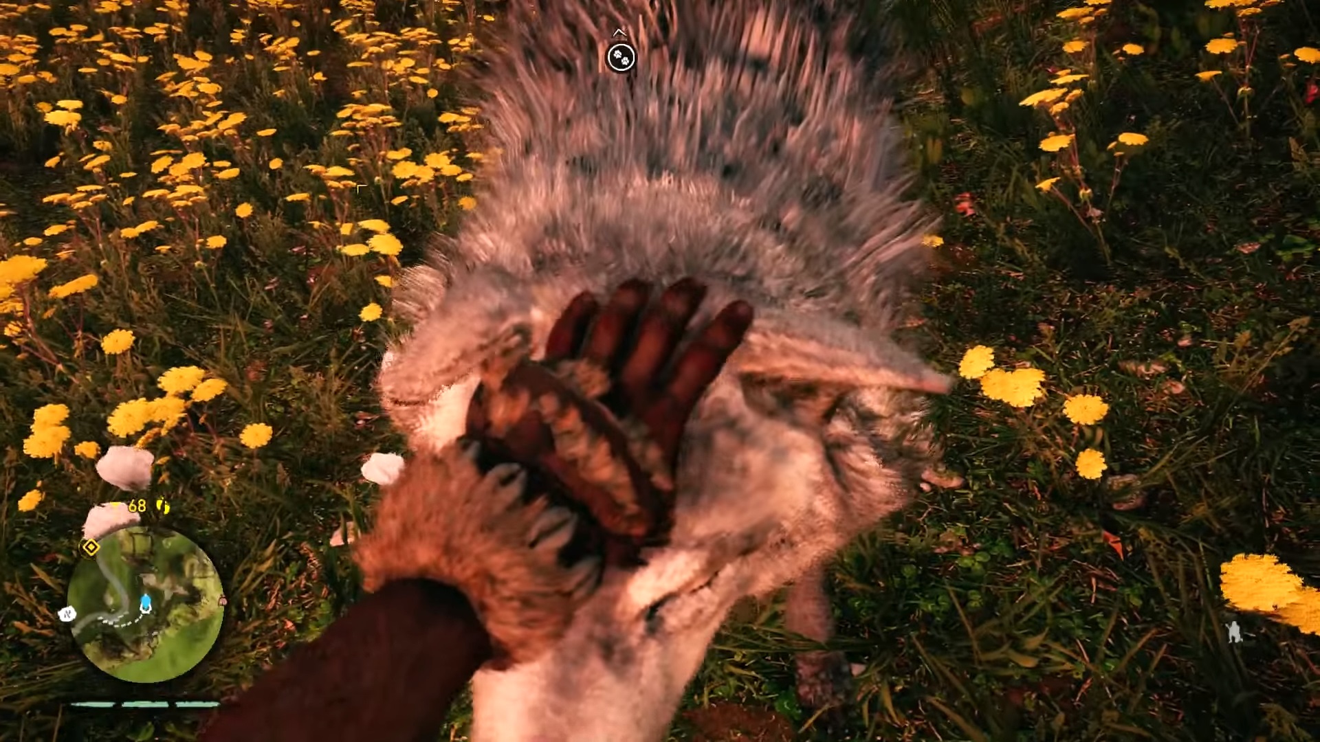Imagen de Far Cry: Primal