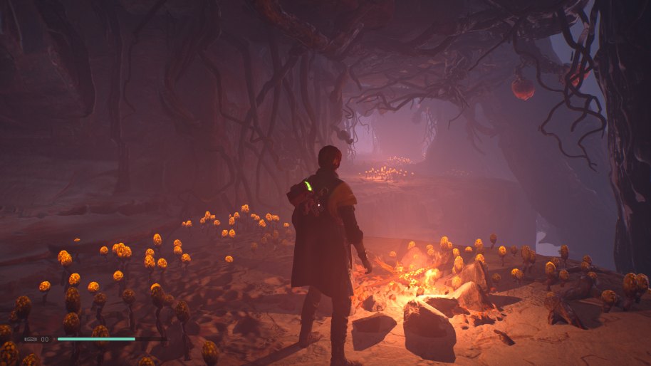 Star Wars Jedi Fallen Order PS4