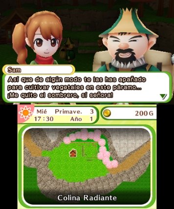 Harvest Moon El Pueblo del Árbol Celeste análisis