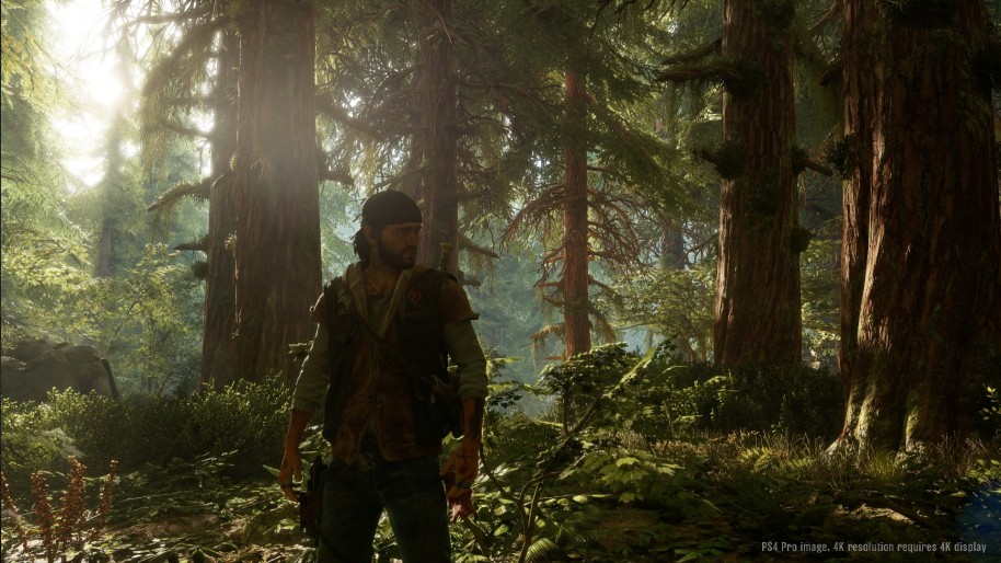 Days Gone: Days Gone: Acción, sigilo y muchos, muchos zombis
