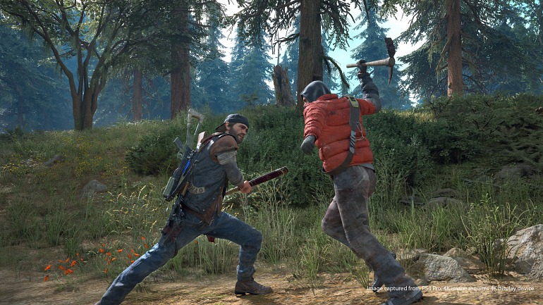 Days Gone Days Gone