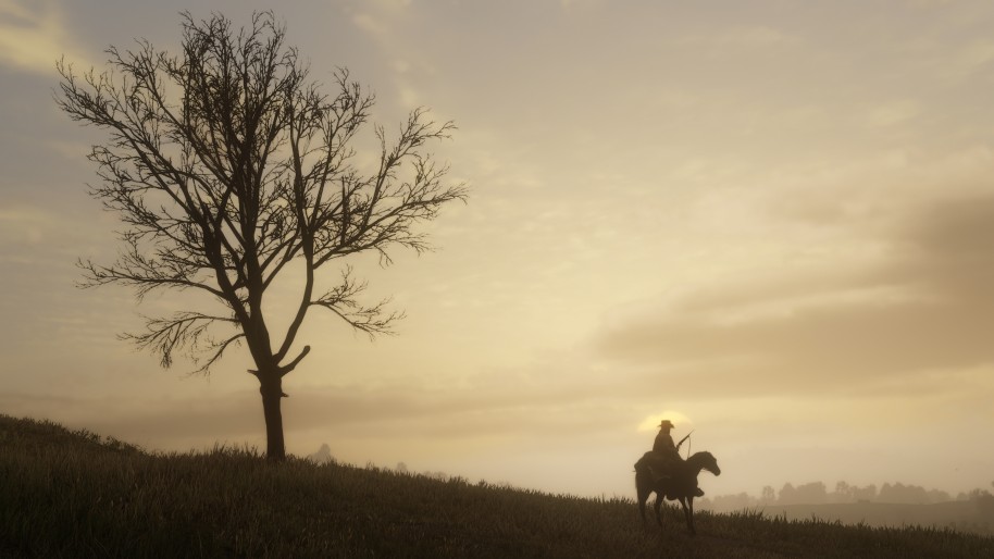 Red Dead Redemption 2 PS4