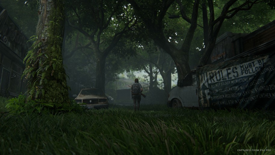 The Last of Us 2 PS4