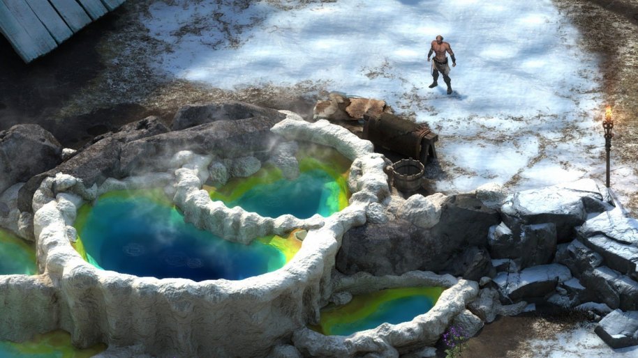 Pillars of Eternity Complete Edition análisis