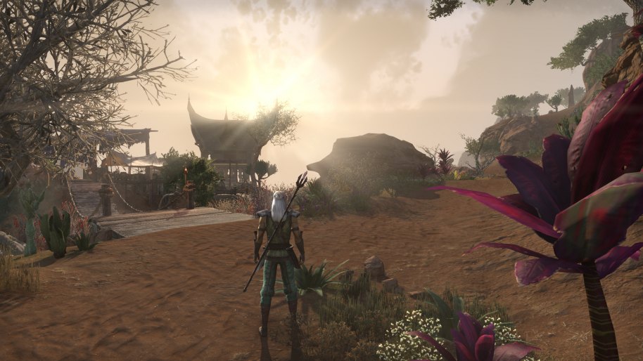 The Elder Scrolls Online Elsweyr PC
