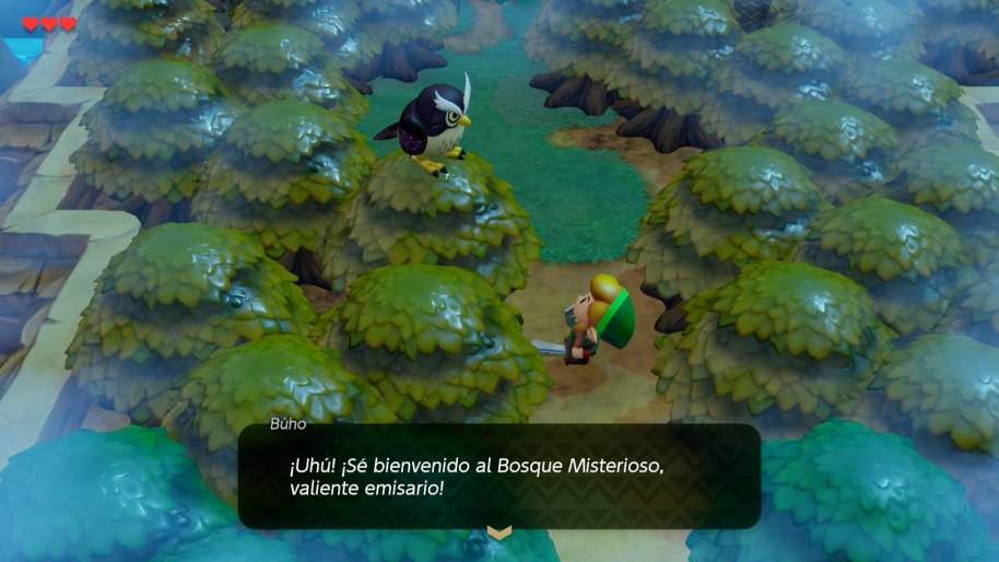 Zelda Link's Awakening Nintendo Switch