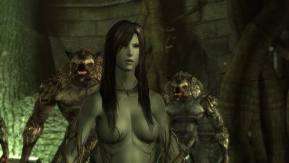 Dragon Age Origins