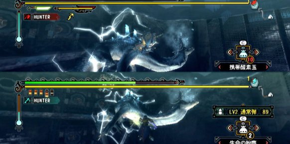 Monster Hunter 3 Wii