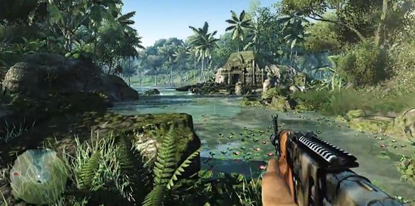 Far Cry 3 PC