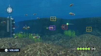 Endless Ocean 2 Wii