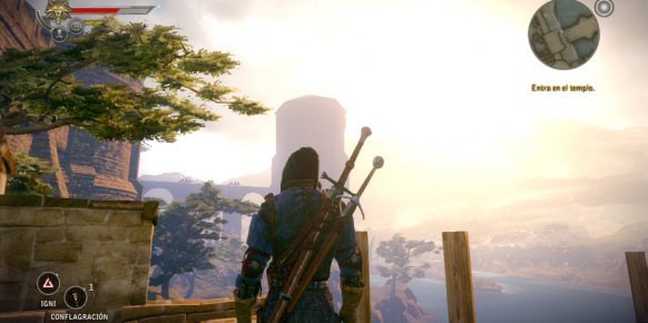 The Witcher 2