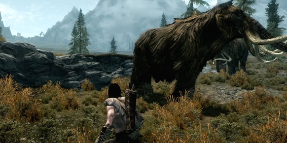 The Elder Scrolls V Skyrim