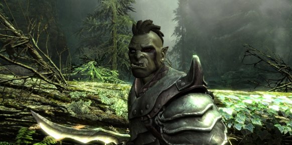The Elder Scrolls V Skyrim PC