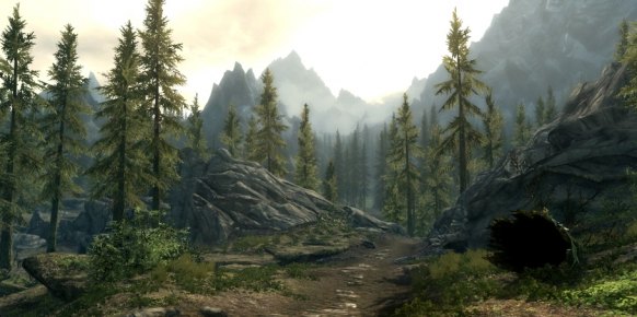 The Elder Scrolls V Skyrim PC